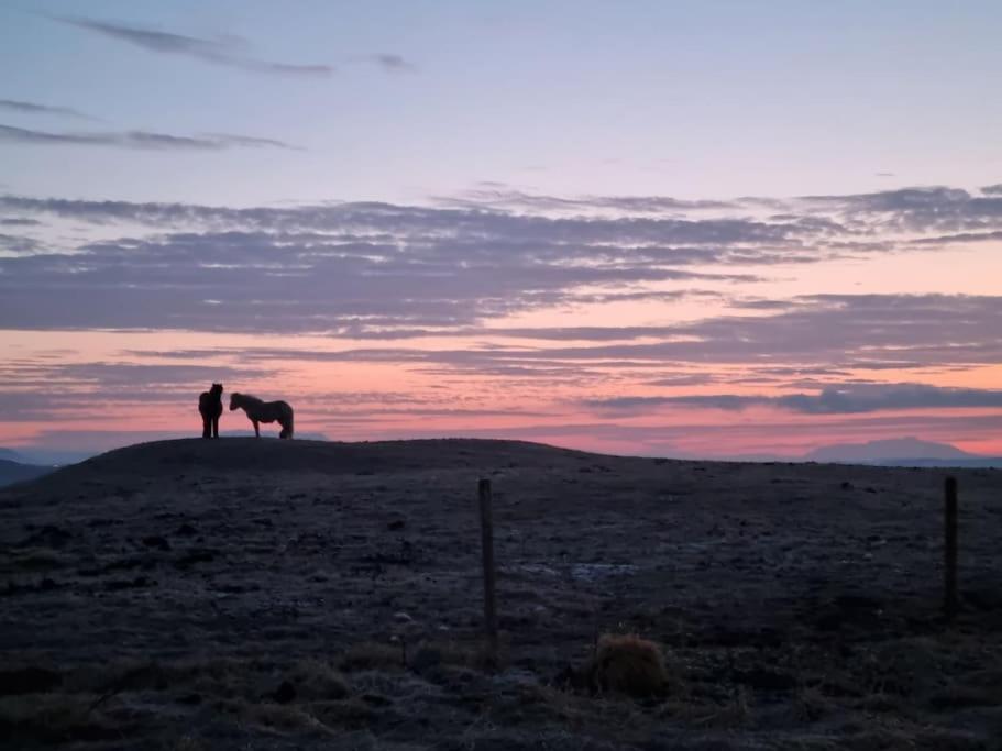 Iceland-aurora Laugaras