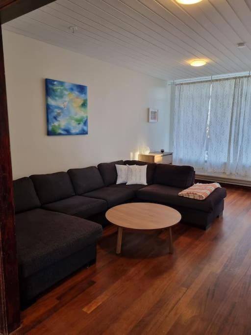Apartment Iceland-aurora *