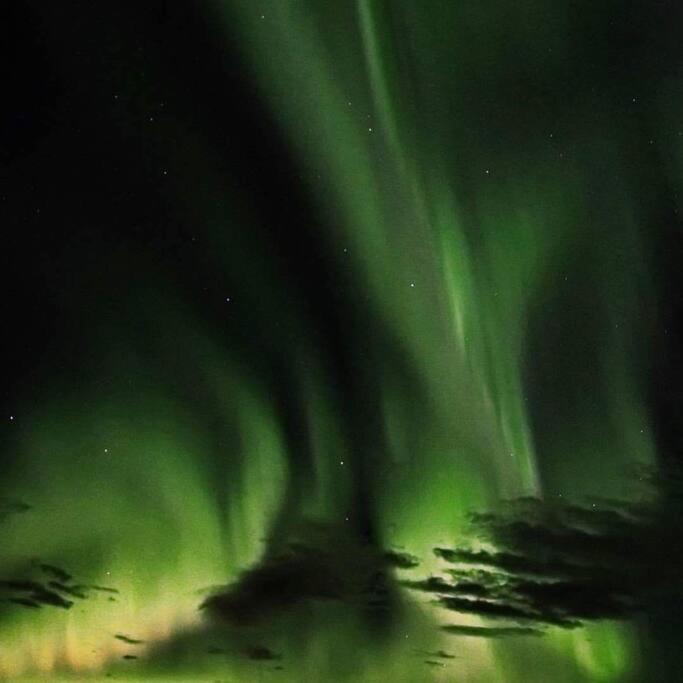 Apartment Iceland-aurora